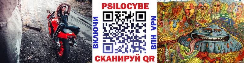 купить   omg как зайти  Галлюциногенные грибы Magic Shrooms  Дмитриев 
