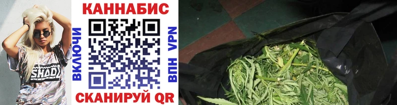 дарк нет состав  Дмитриев  Бошки Шишки OG Kush  где можно купить наркотик  МЕГА ТОР 